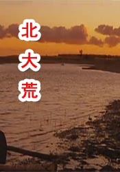 精品福利一区二区在线观看